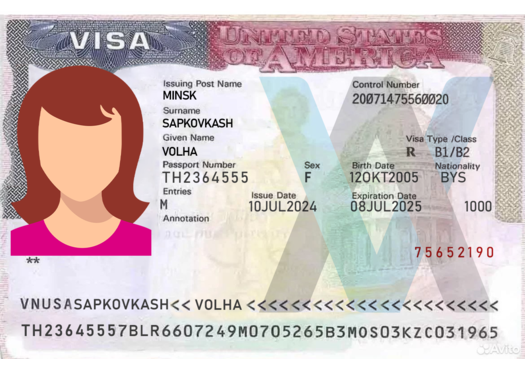 Гостевая виза в США
